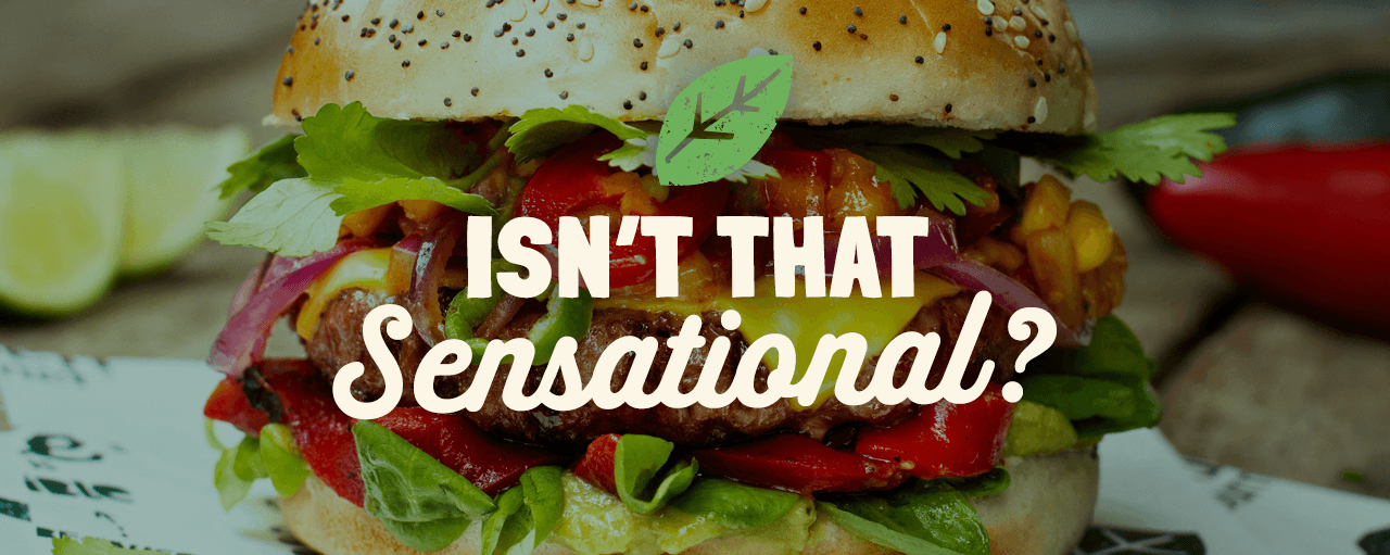 Garden Gourmet Something Amazing