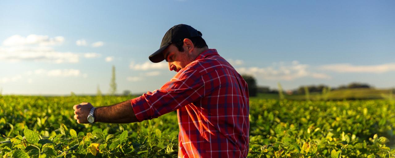 Garden Gourmet Farmer